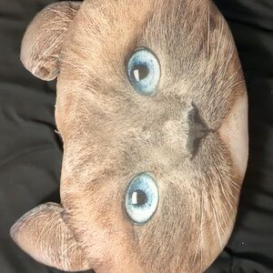cat pillow